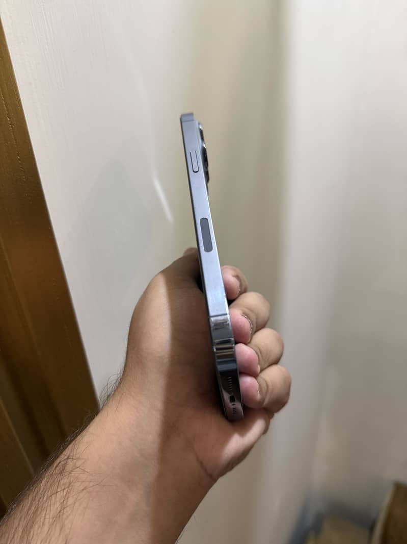 Apple iPhone 13 Pro Max 2