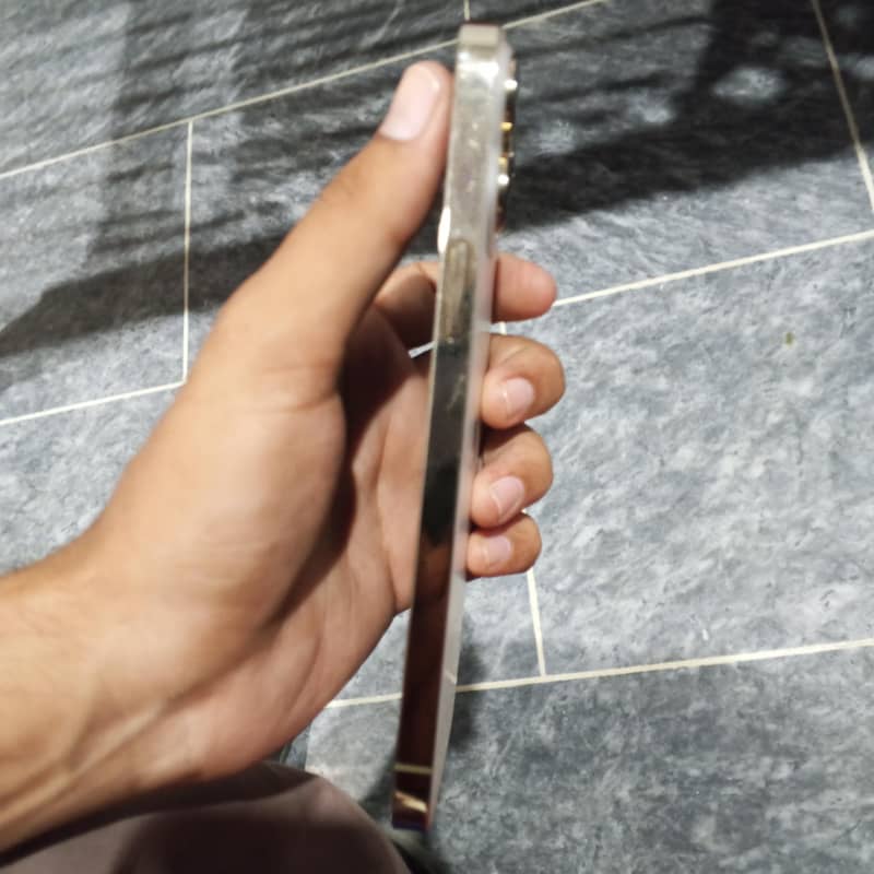 Apple iPhone 13 Pro Max 1