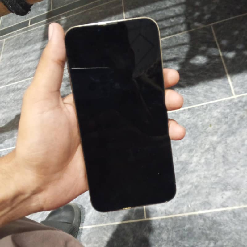 Apple iPhone 13 Pro Max 3