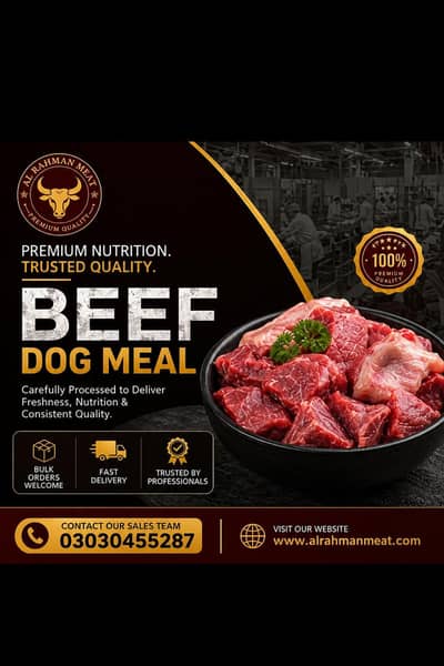 Dog Beef Food meal