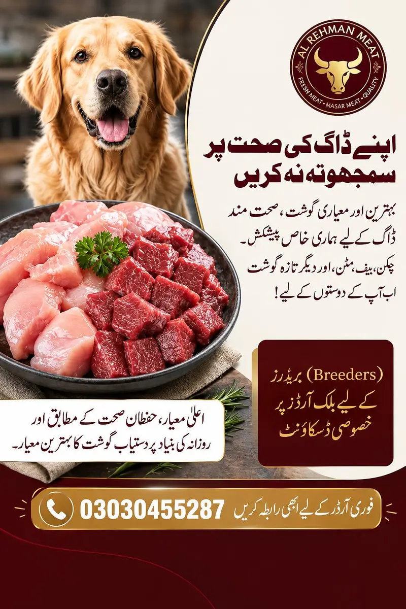Dog Beef Food meal — photo 2