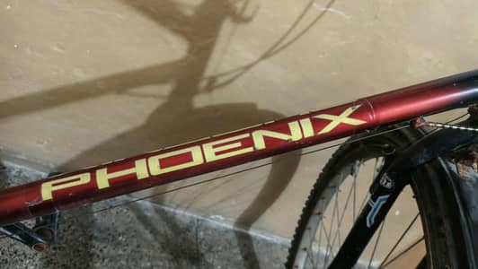 Bicycle for sale
