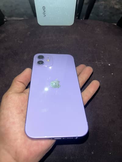 Apple iPhone 12