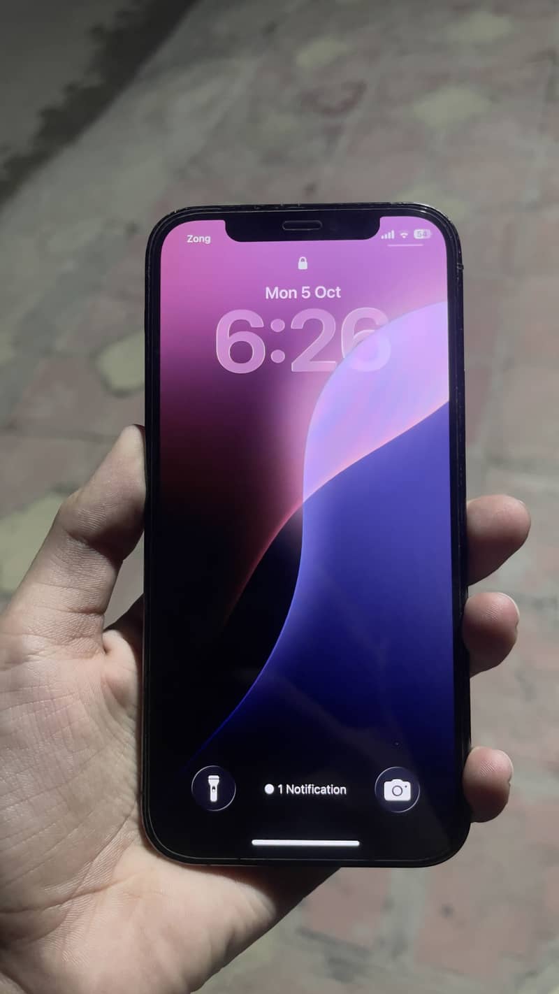 Apple iPhone 12 Pro 0