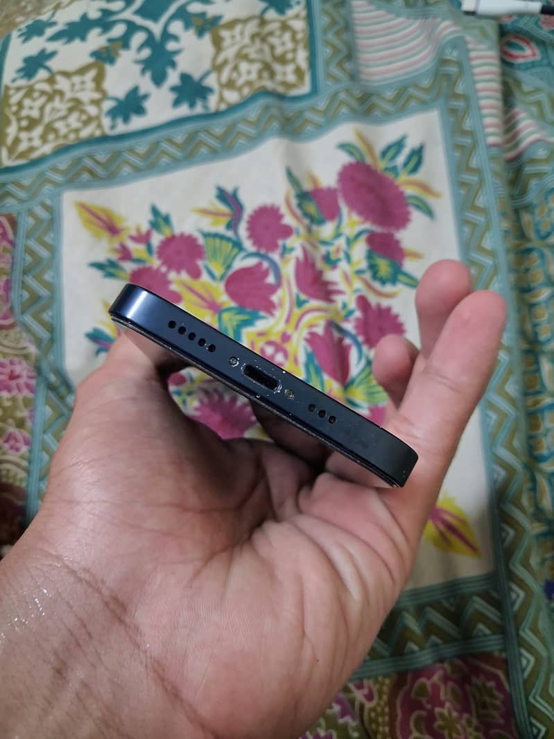Apple iPhone 13 12