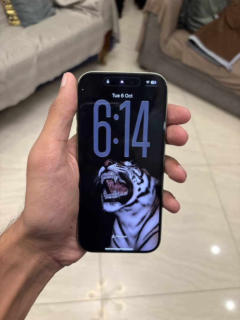 Apple iPhone 17 13