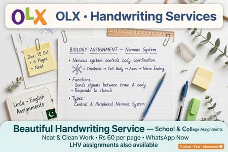 Beautiful Handwriting Work For School / College Projects