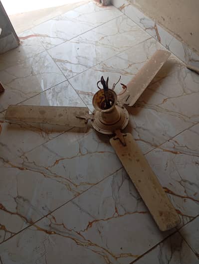 ceiling fan for sell Shahzad fans
