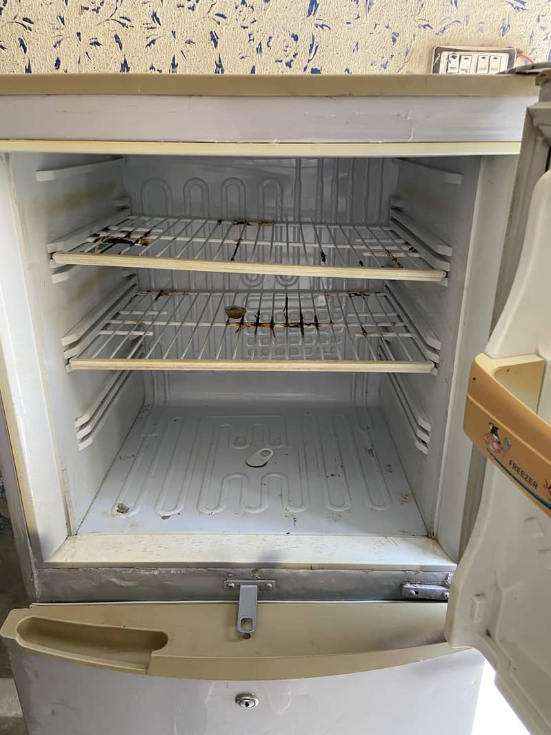 PEL FREEZER 1