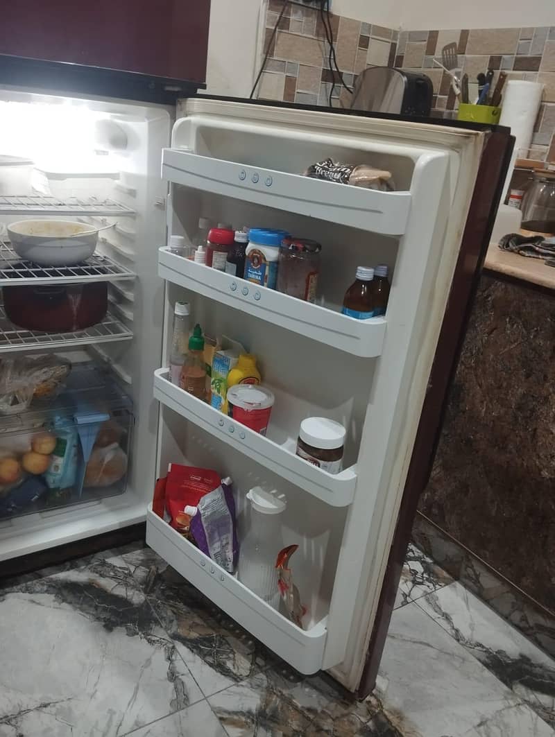 fridge 2