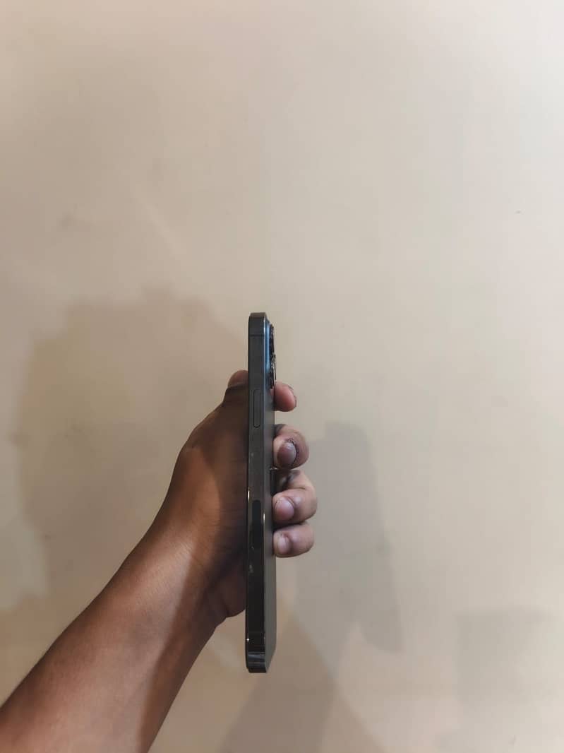 Apple iPhone 13 Pro Max 0