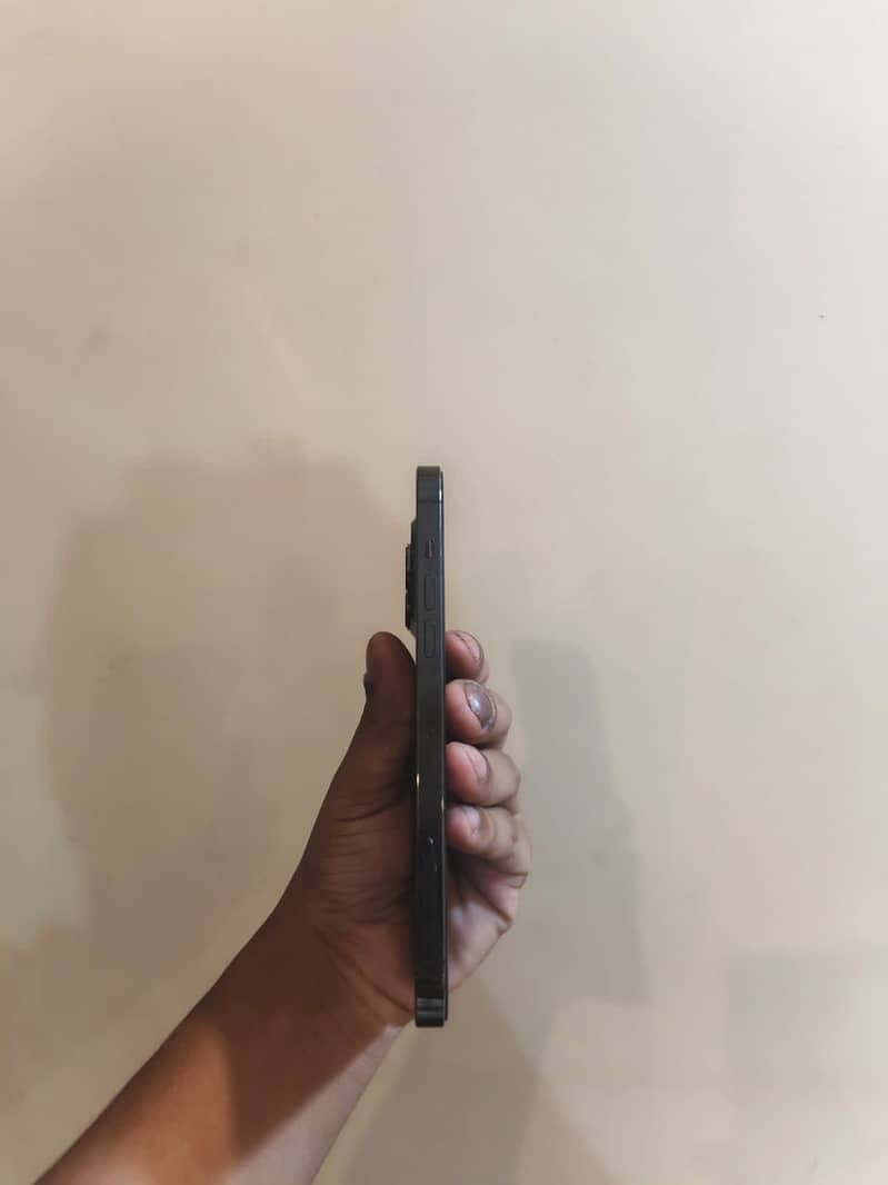 Apple iPhone 13 Pro Max 2