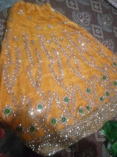 Organza Lehenga for Sale | 10/10 Condition | Only 1 Time Worn