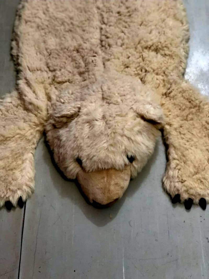 Bear  rug 0