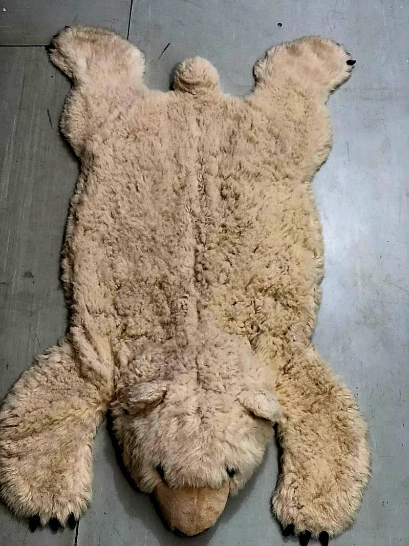 Bear  rug 1