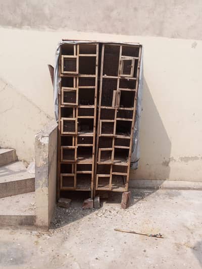 argent sale wodden cage 5 portion 2 cages 0347/4160/562