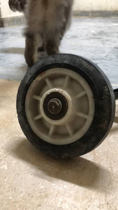 sport wheel