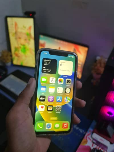 Apple iPhone X