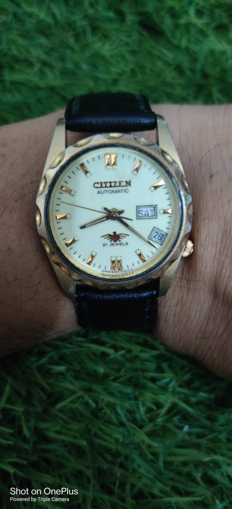 Citizen Eagle Automatic 1