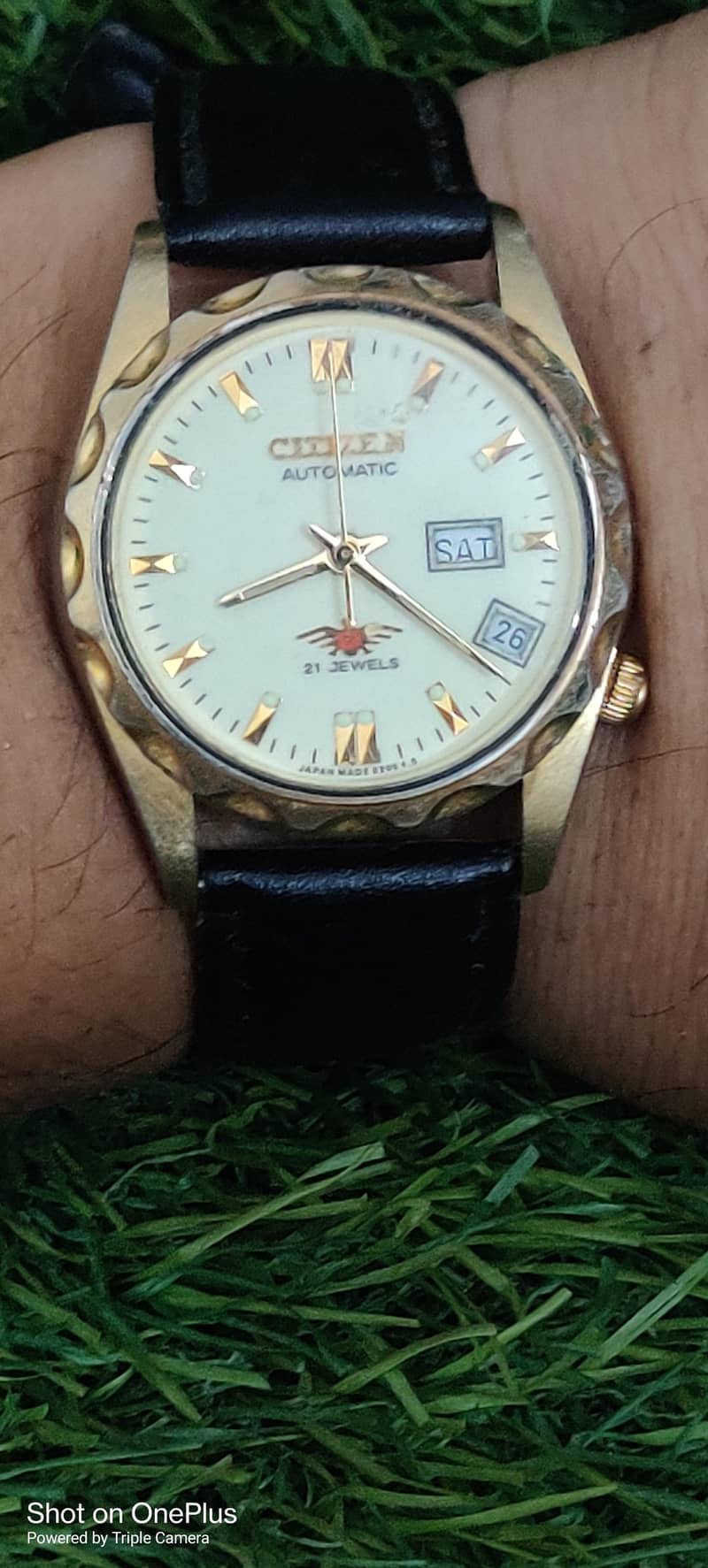 Citizen Eagle Automatic 2