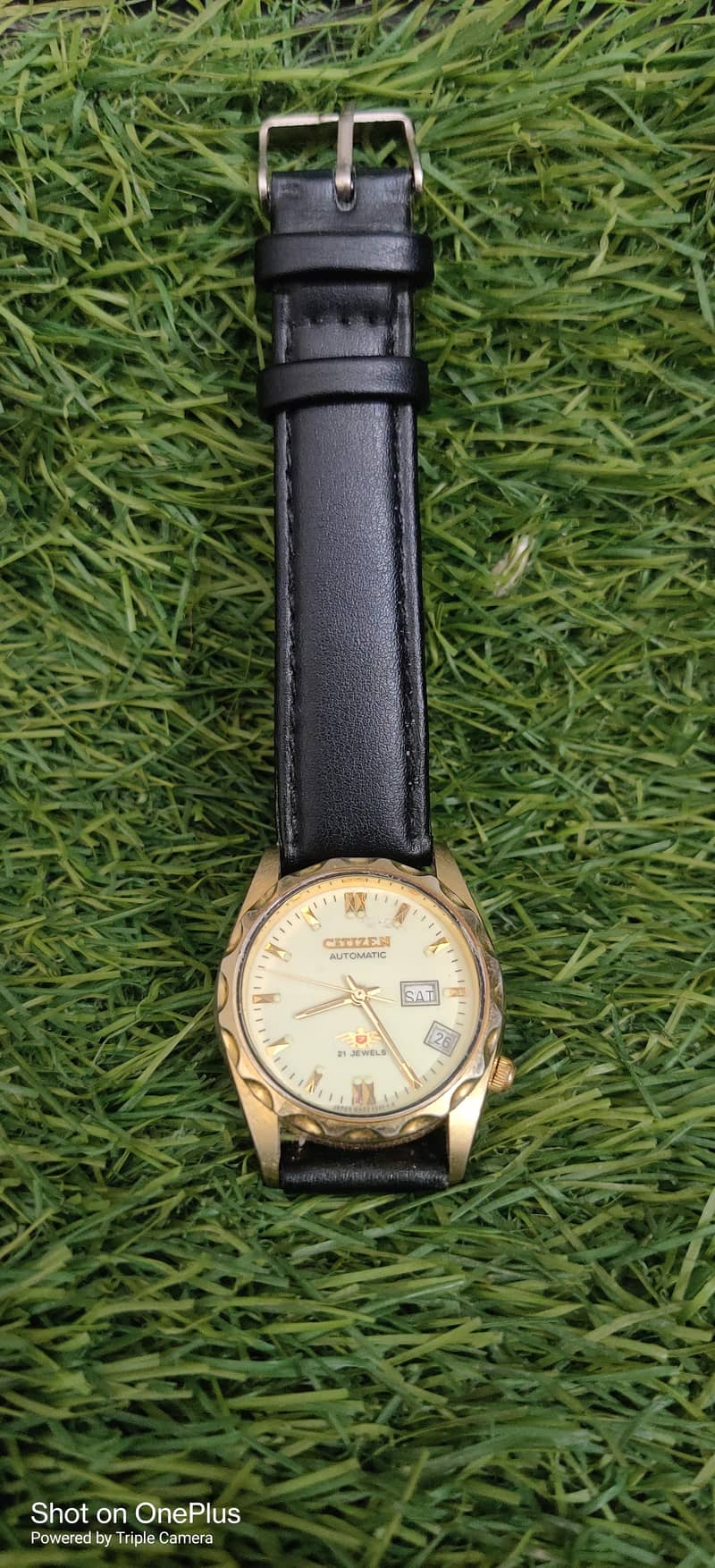 Citizen Eagle Automatic 3