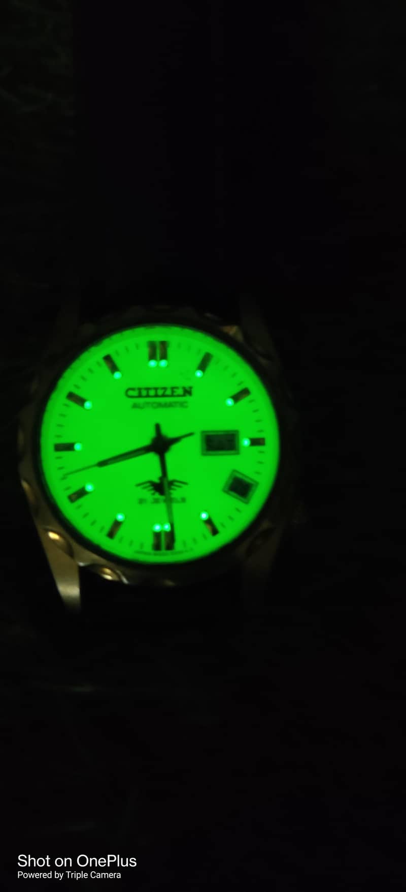 Citizen Eagle Automatic 4