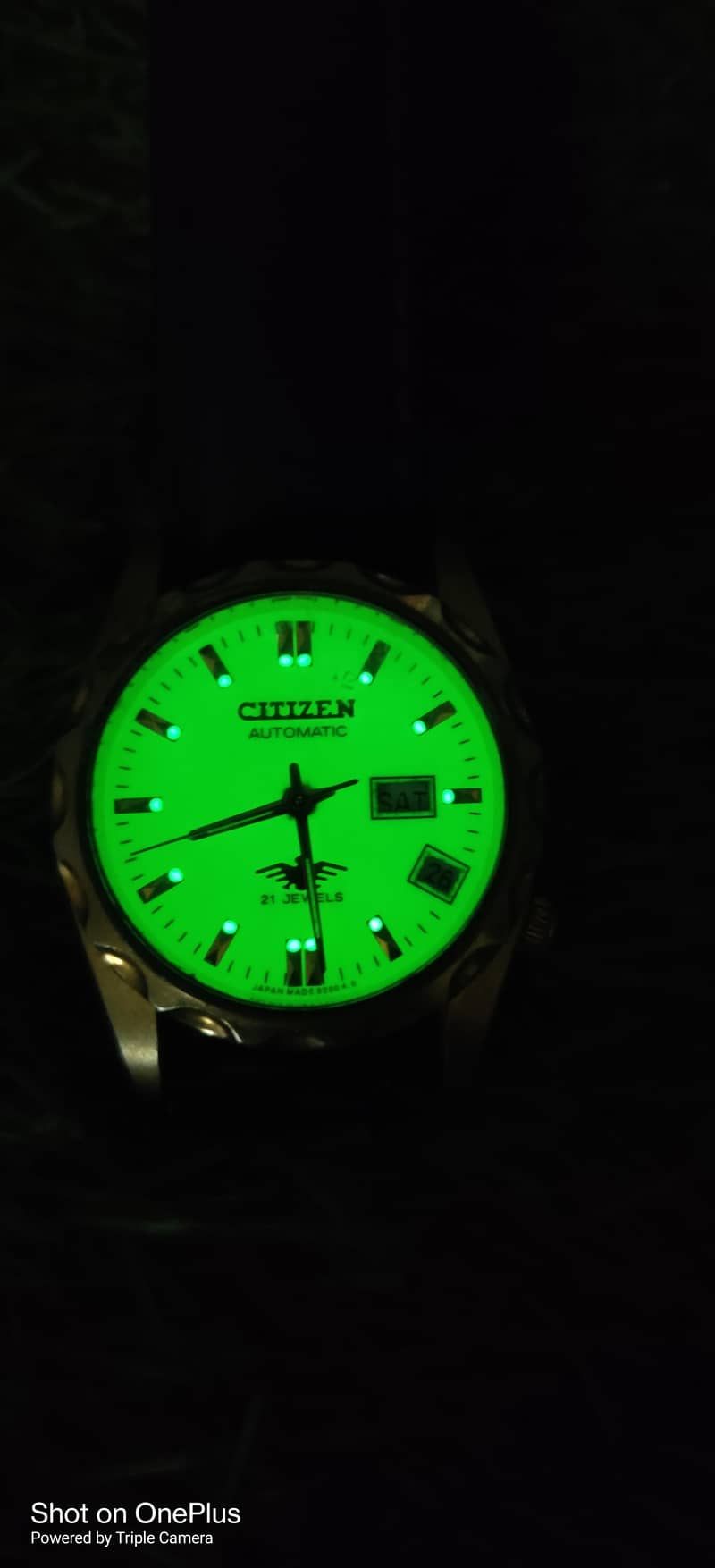 Citizen Eagle Automatic 5