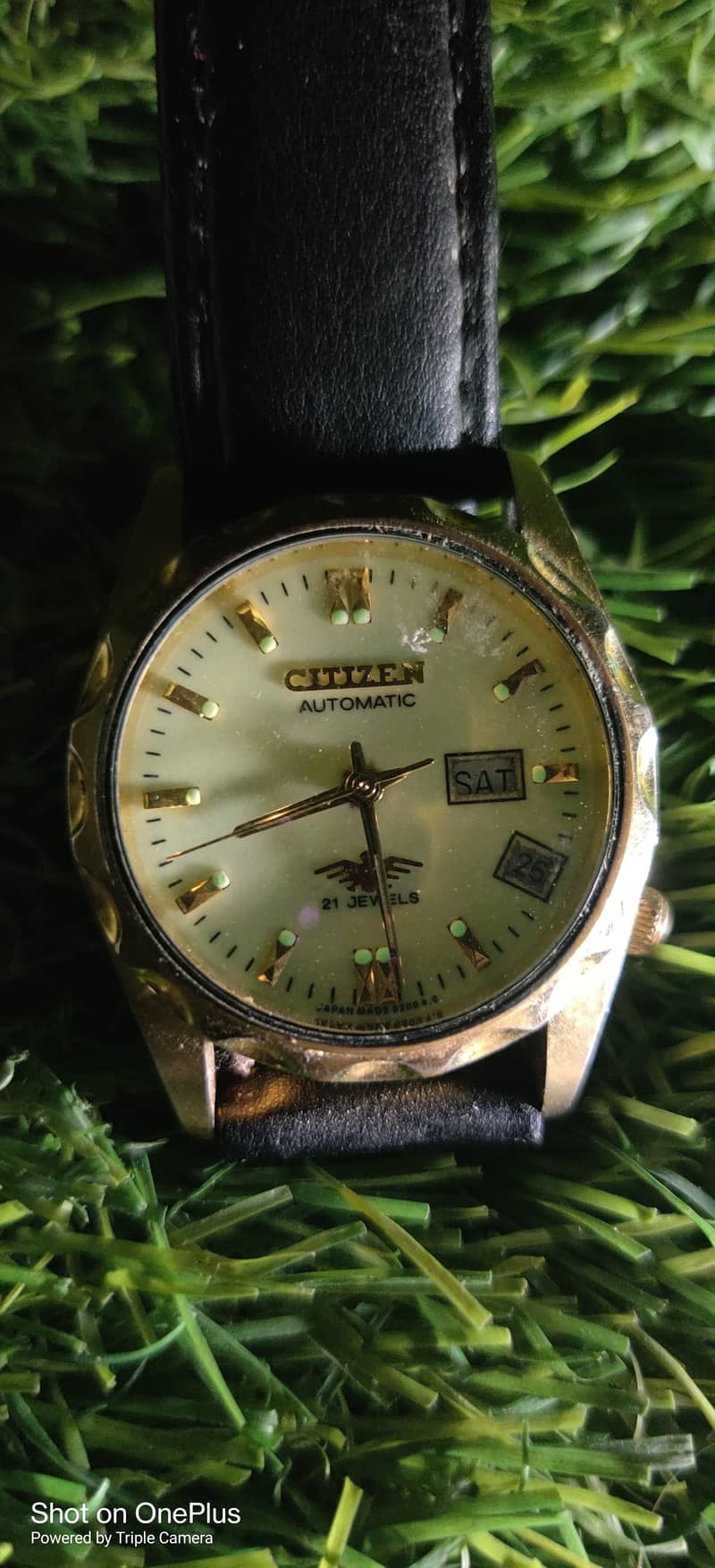 Citizen Eagle Automatic 6