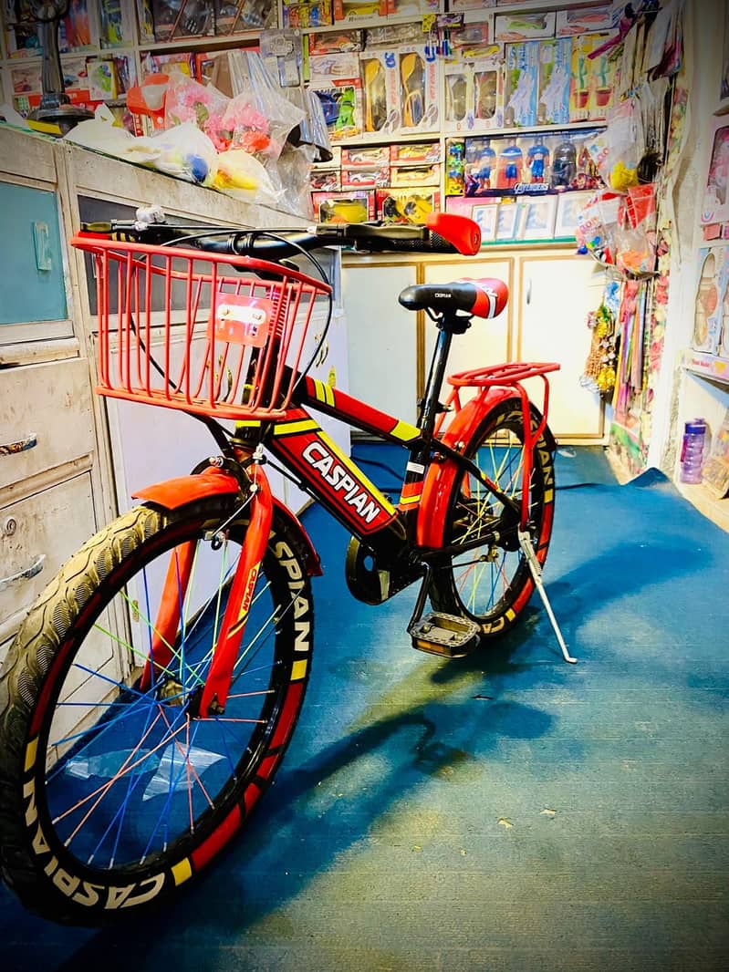 China cycle 1