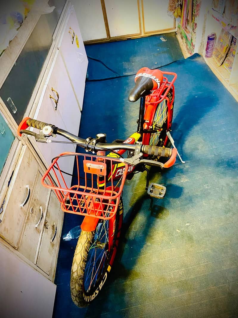 China cycle 4