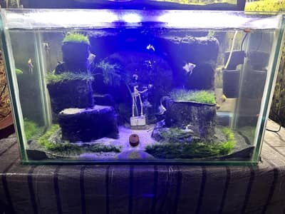 New hand Made Aquarium