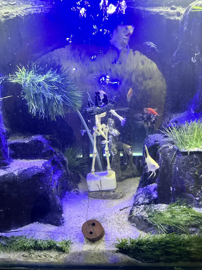 New hand Made Aquarium — photo 2