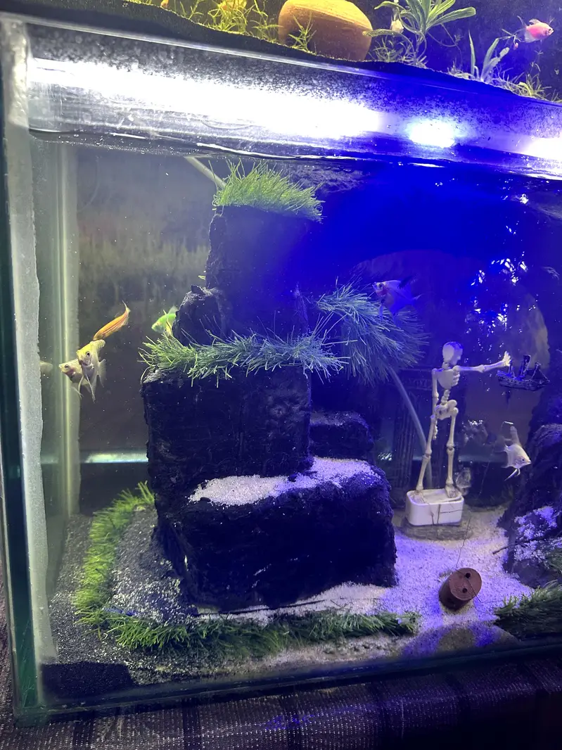 New hand Made Aquarium — photo 3