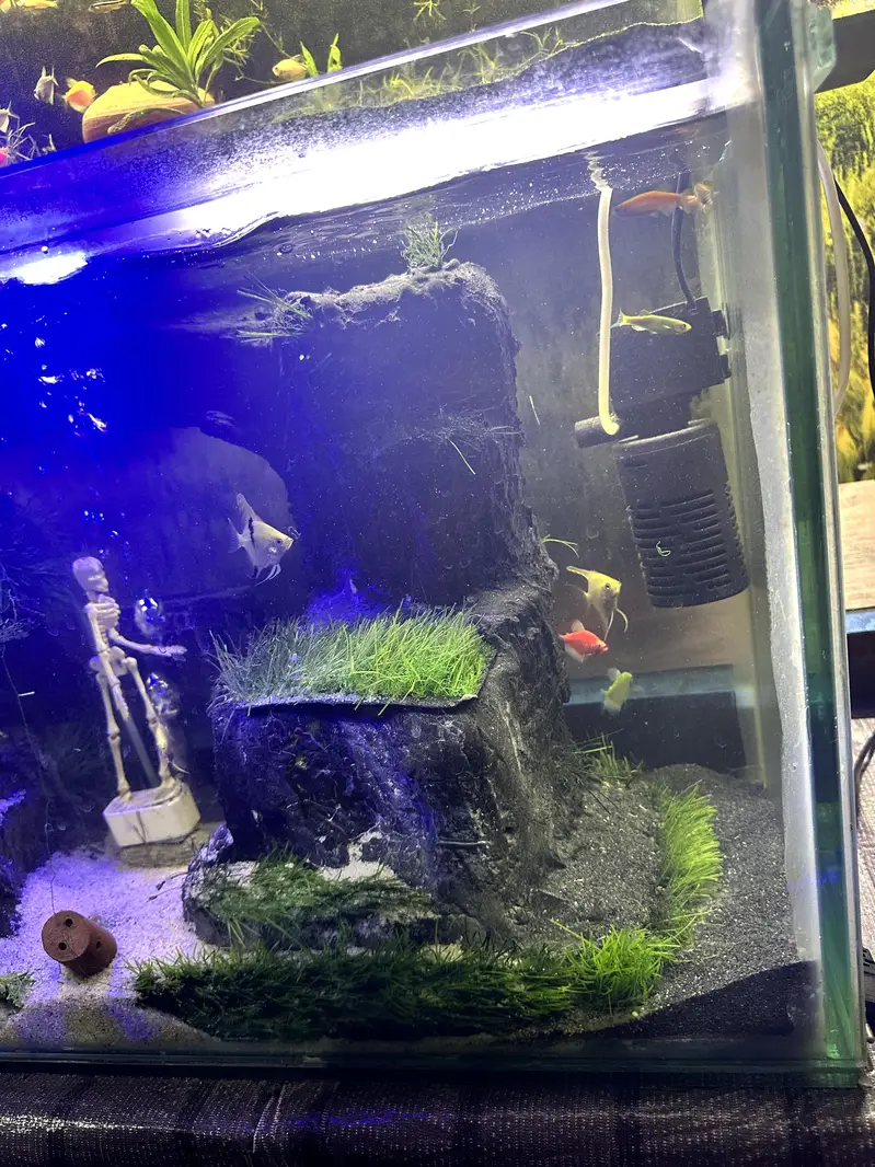 New hand Made Aquarium — photo 4