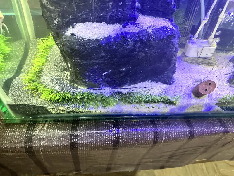 New hand Made Aquarium — photo 5