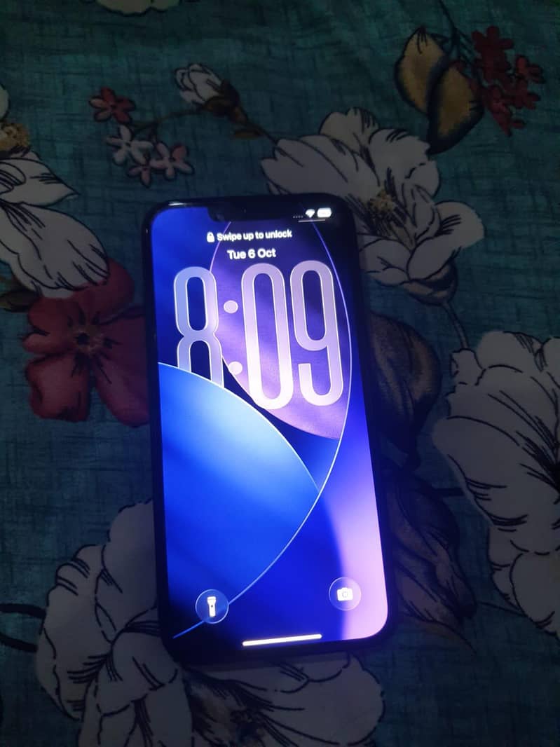 Apple iPhone 13 0