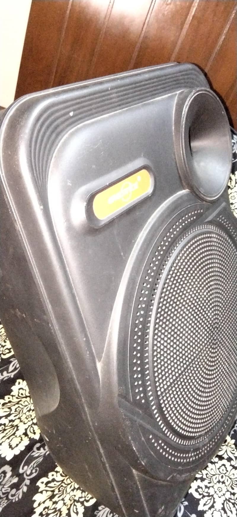 Speaker 0