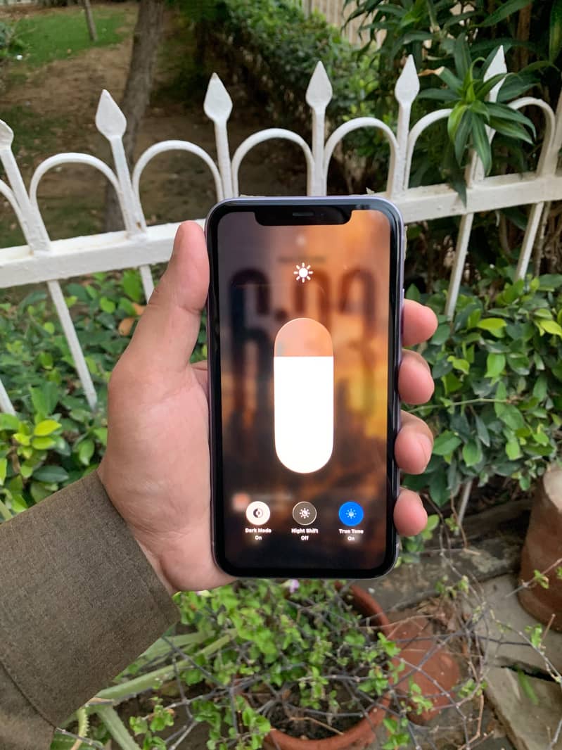 Apple iPhone 11 1