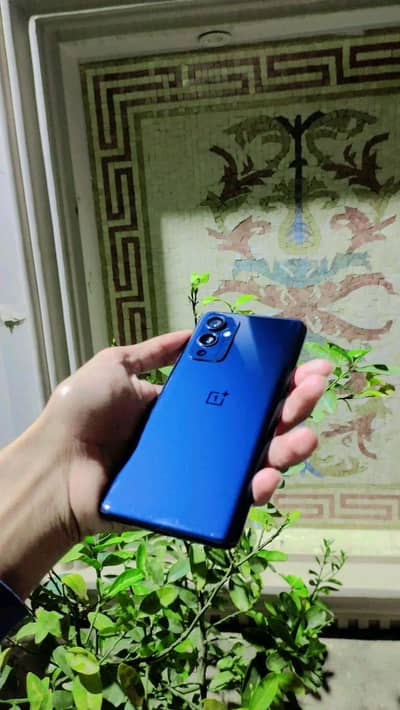 03237004371 One Plus 9RT 12/256 Snapdragon 888 display finger cam king