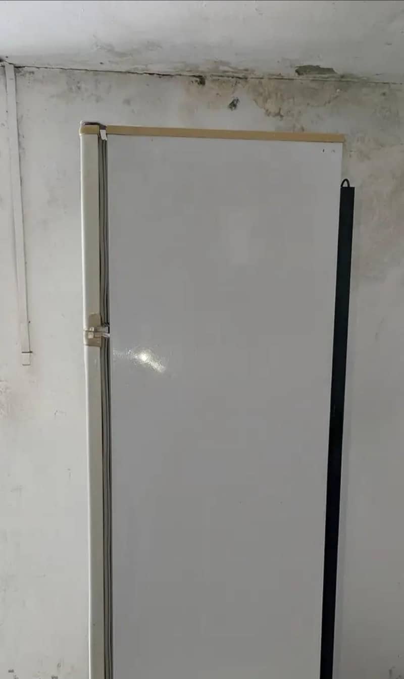 PEL FRIDGE 1