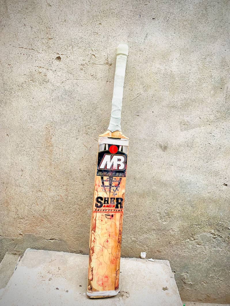 Hard Ball Bat 0