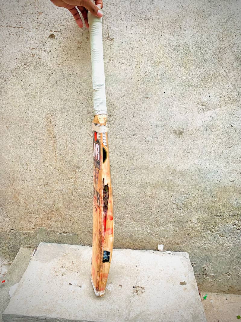 Hard Ball Bat 1