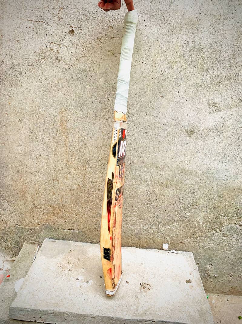 Hard Ball Bat 2