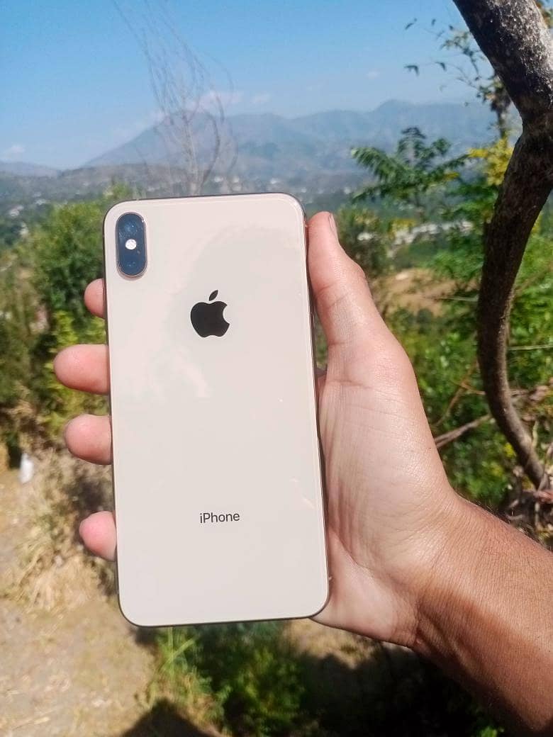 Apple iPhone XS Max 0