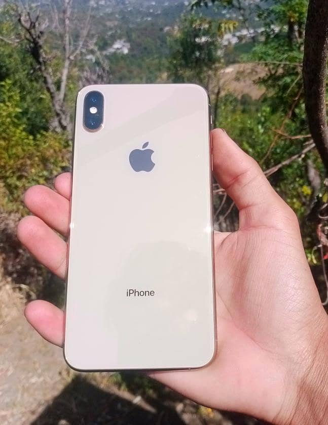 Apple iPhone XS Max 1