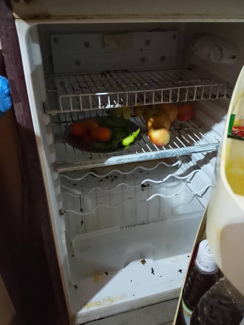 Orient Fridge 2