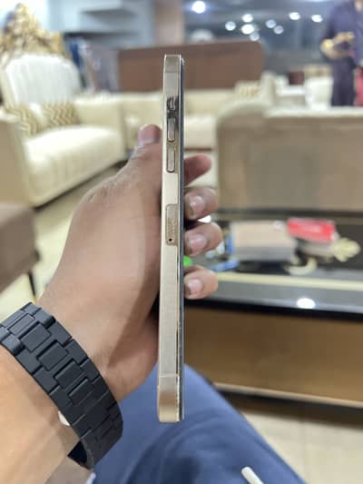 Apple iPhone 12 Pro Max