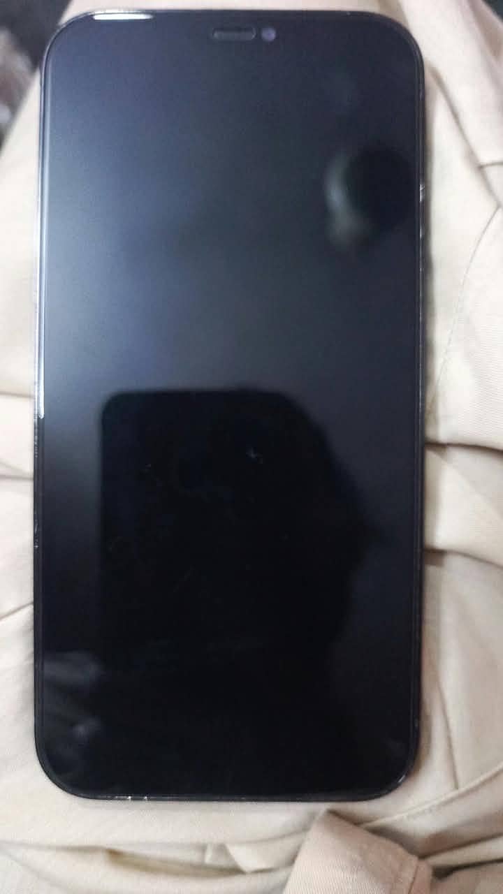 Apple iPhone 12 Pro Max 2