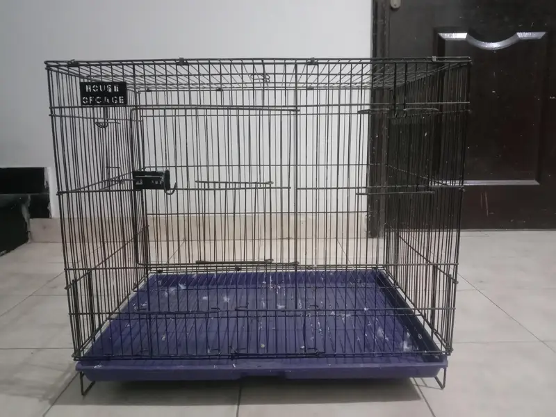 Pets Parrots Folding Cage — photo 2