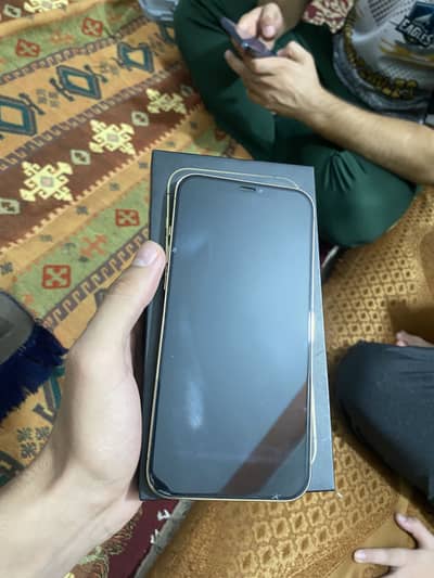 Apple iPhone 12 Pro Max